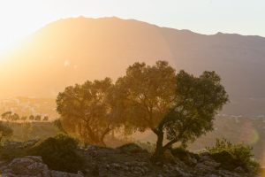 Het Ghomara Berber – of Arabisch?