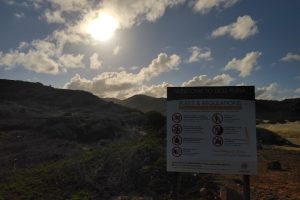 Meertaligheid op het strand: Wat borden en posters zeggen over taalvitaliteit op Aruba