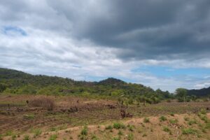 Regen als zegen en als zorg: praten over het weer in Malawi