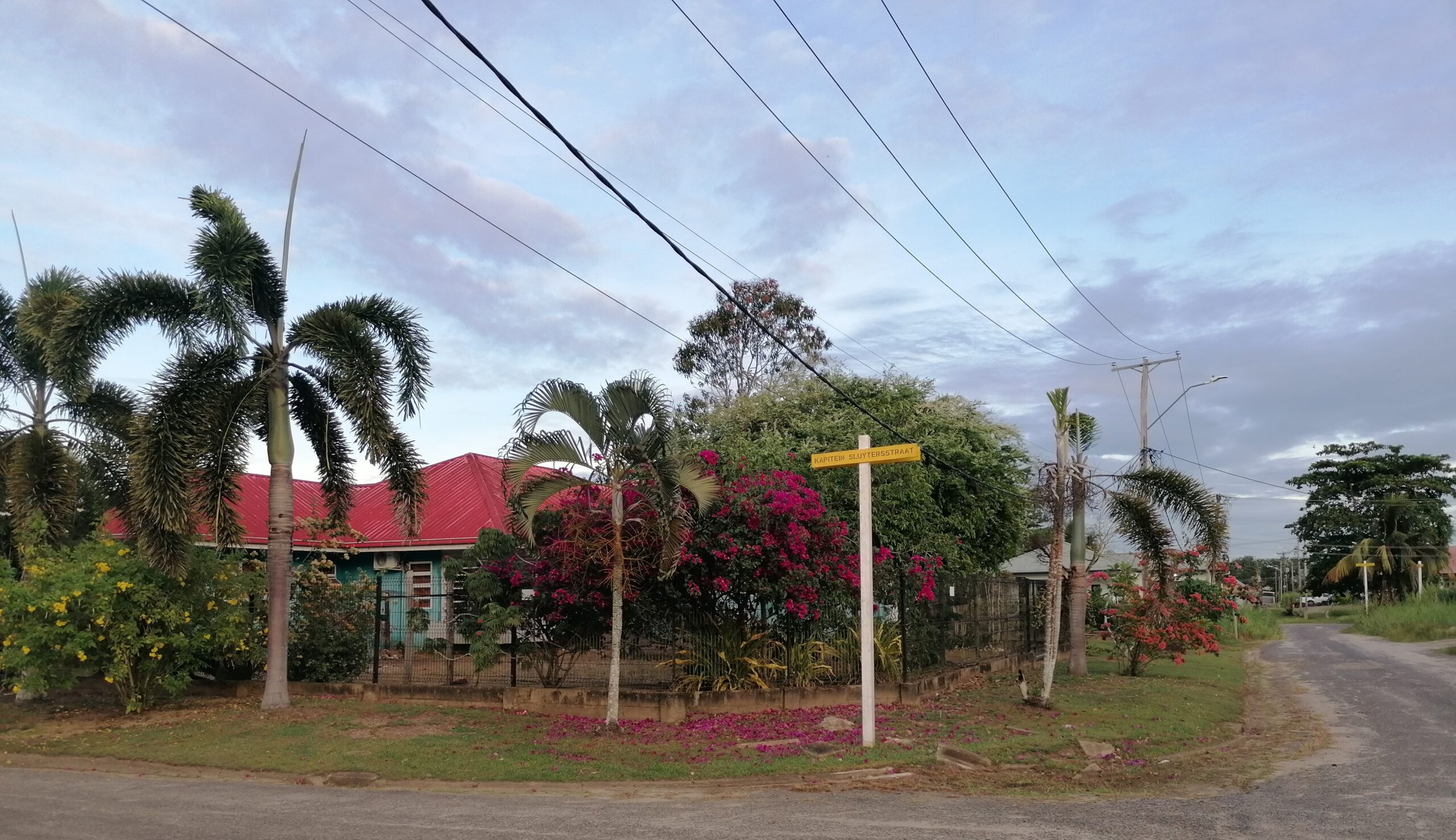 Lees meer over het artikel Sranantongo wereldwijd – Kimberly Jansen over migratie, meertaligheid en identiteit