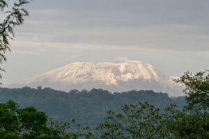 Wie is de mol en wat spreekt’ie in Tanzania (deel 4)