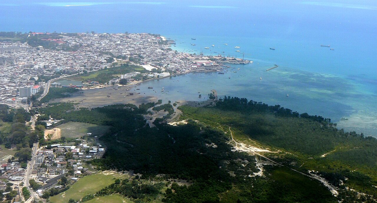 Lees meer over het artikel Wie is de mol en wat spreekt’ie in Tanzania (deel 6)